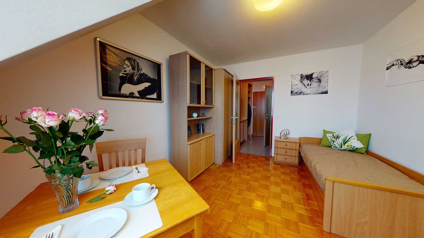 Apartment Engerthstrasse Wohnzimmer