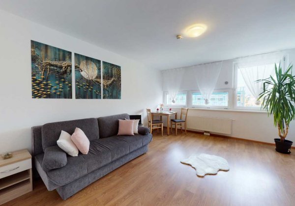 Apartmenthaus Heiligenstadt Wohn-Schlafzimmer 1