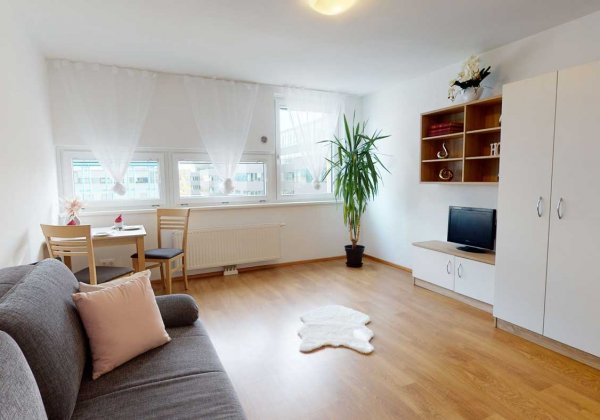 Apartmenthaus Heiligenstadt Wohn-Schlafzimmer 3