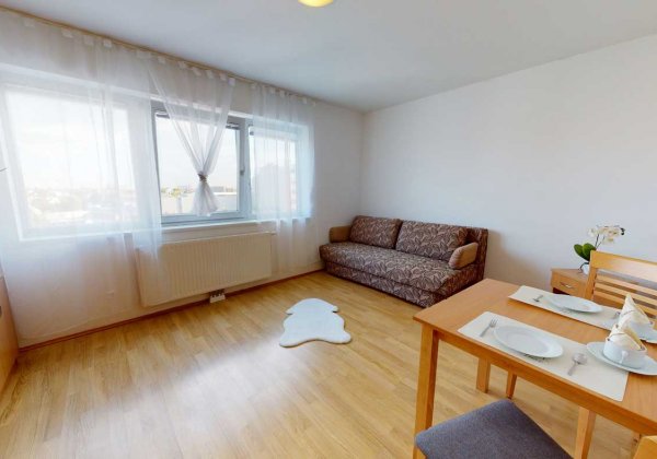 Apartmenthaus Kagraner Spange Wohn-Schlafzimmer 1