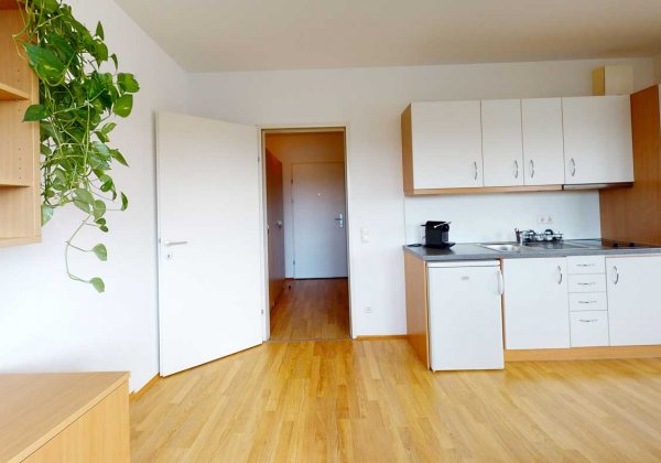 Apartmenthaus Kagraner Spange Wohnküche 1