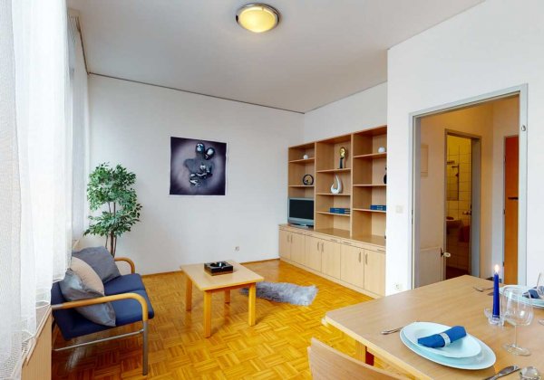  Apartmenthaus Muthgasse Wohnzimmer 1