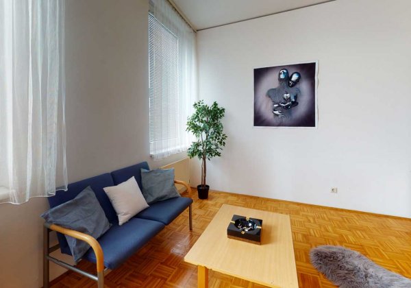  Apartmenthaus Muthgasse Wohnzimmer 2