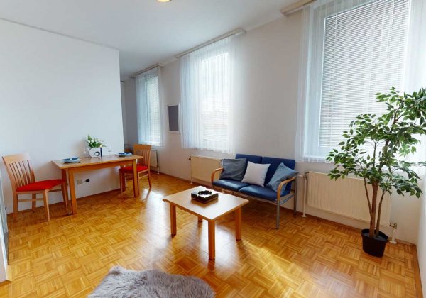  Apartmenthaus Muthgasse Wohnzimmer 3