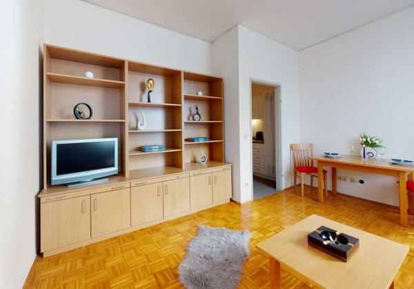  Apartmenthaus Muthgasse Wohnzimmer 4