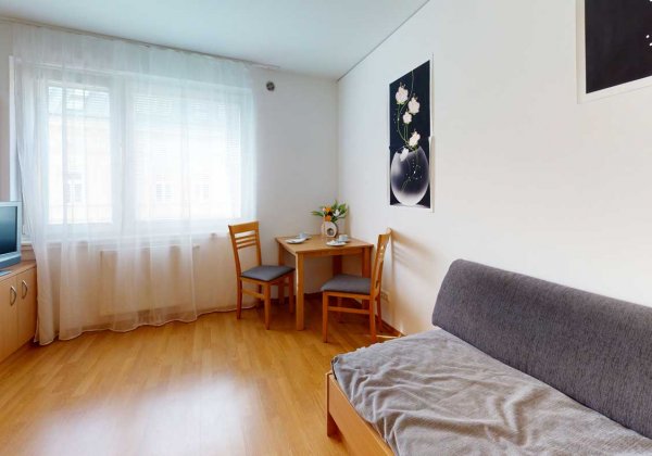 Apartmenthaus Stättermayergasse Wohn-Schlafzimmer 1