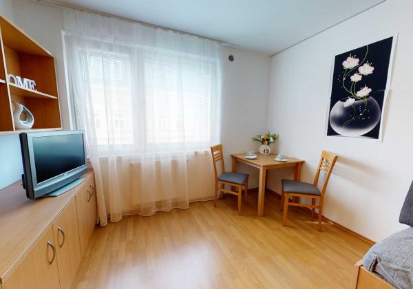 Apartmenthaus Stättermayergasse Wohn-Schlafzimmer 2