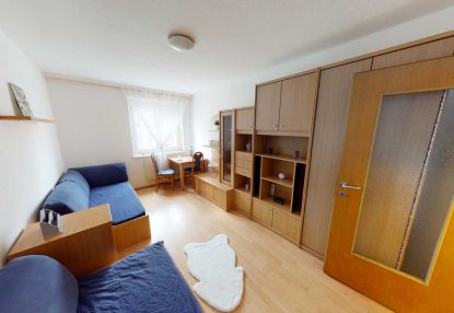 Apartment Dornbach Wohnschlafzimmer Schrank