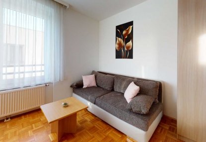 Apartmenthaus Fröhlichgasse Wohn-Schlafzimmer 2