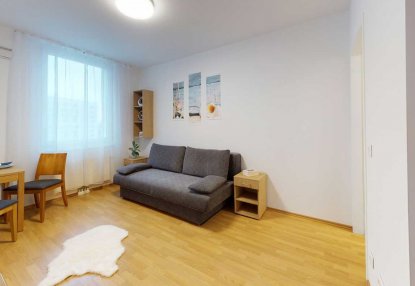 Apartmenthaus Am Hauptbahnhof Wohn-Schlafzimmer 1