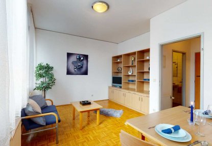  Apartmenthaus Muthgasse Wohnzimmer 1